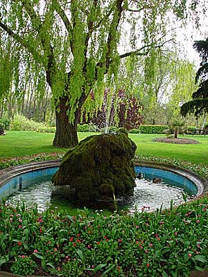  L'impressionnant jet d'eau du jardin public 